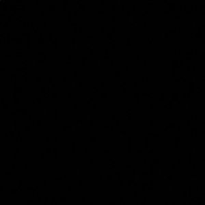 Meet your Posher, Darian